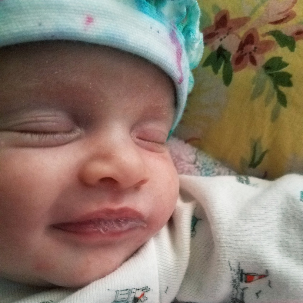 Introducing Scarlet - Picture 4 of 5